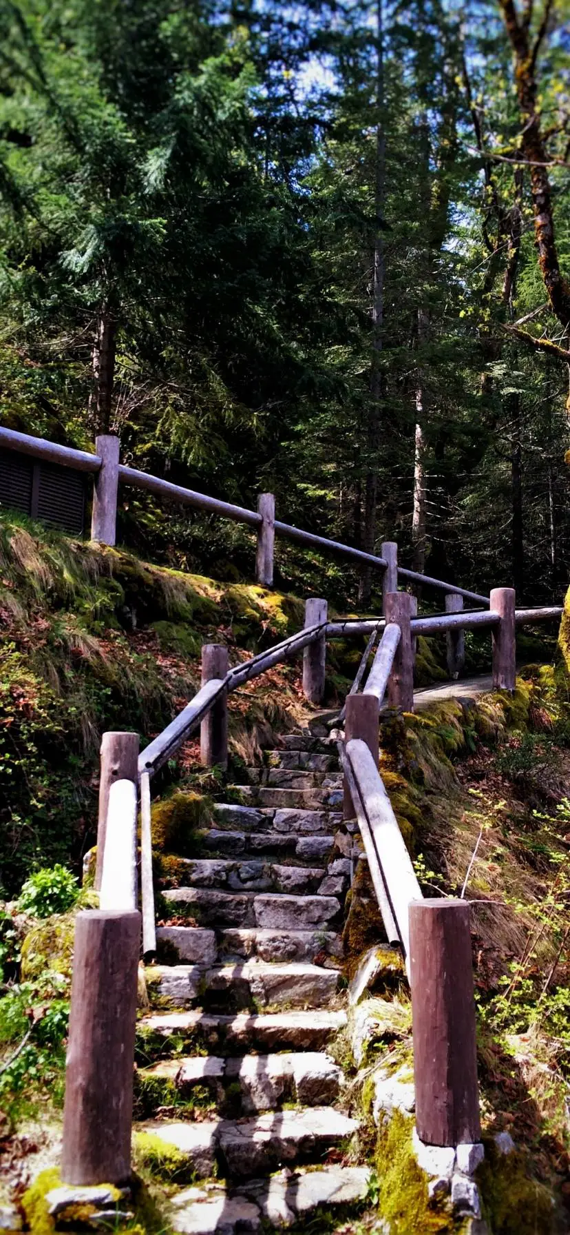 Hiking Trail at Oregon Caves National Monument