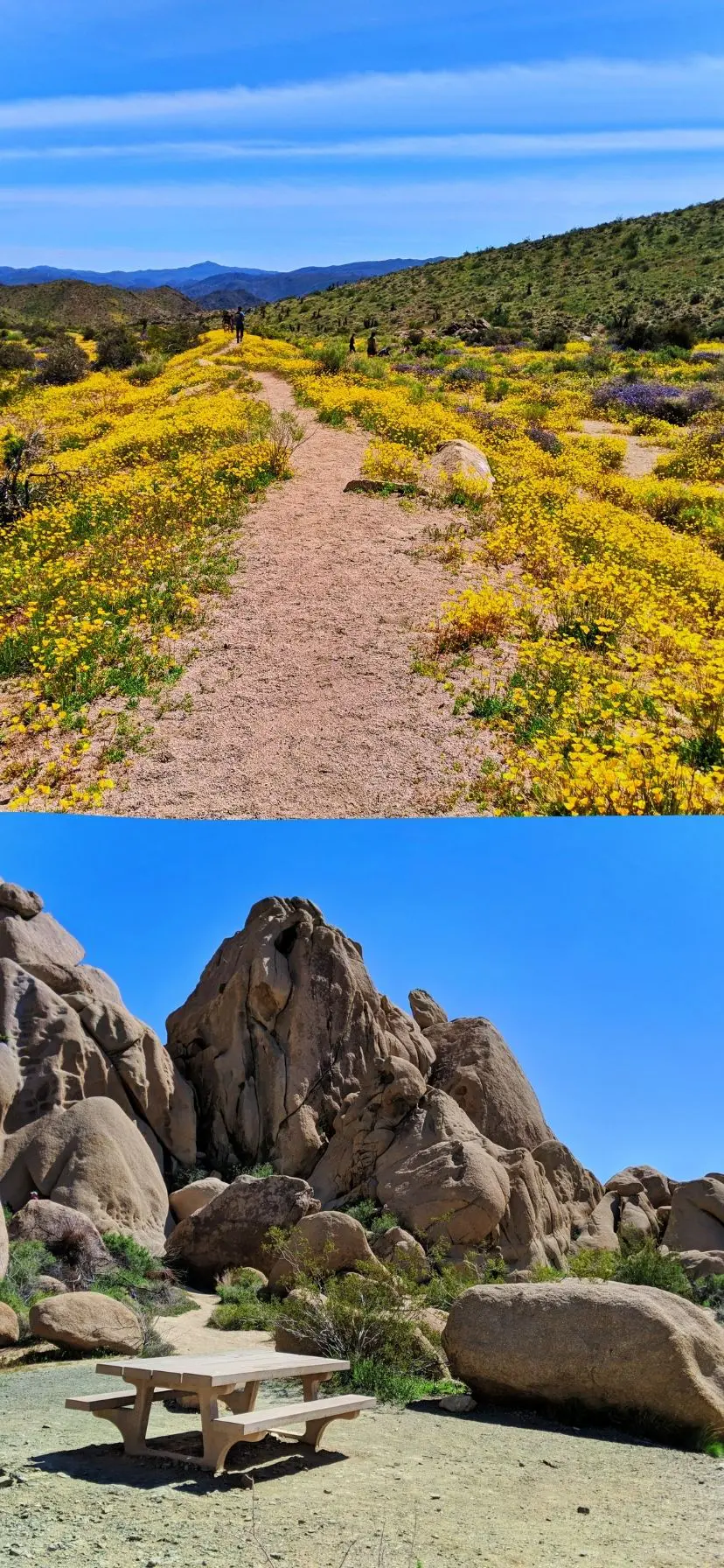 Hiking and Picnics at Joshua Tree National Park