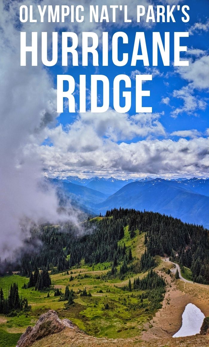 Hiking at Hurricane Ridge is one of the best day trips to the Olympic Peninsula. We've rated the trails rated from easiest to most difficult and included tips for visiting Hurricane Ridge any time of year.
