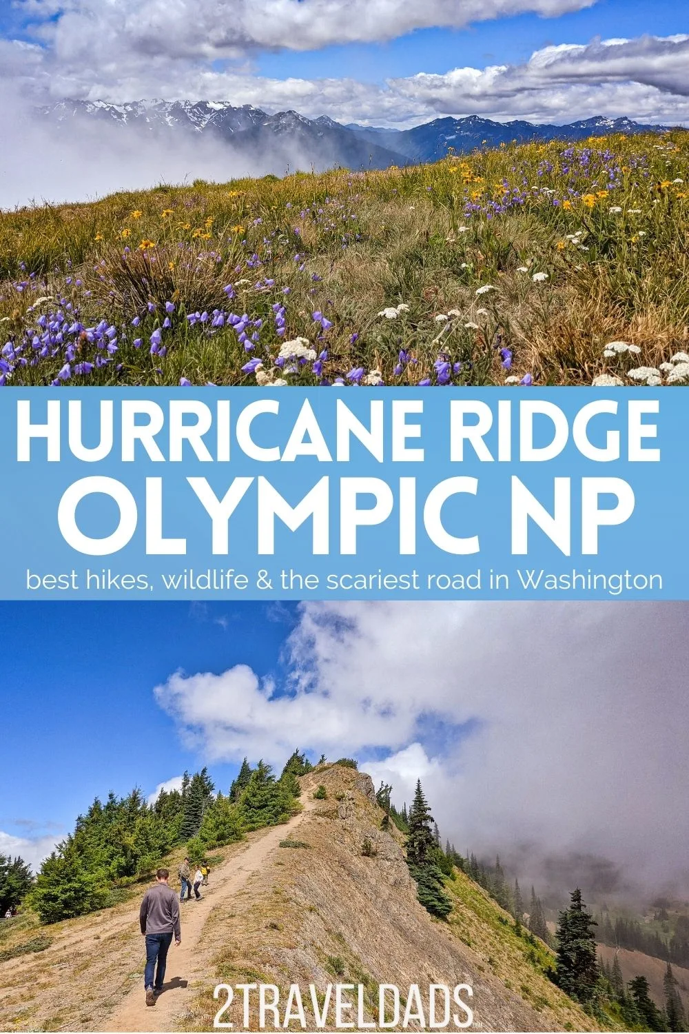 Hiking at Hurricane Ridge is one of the best day trips to the Olympic Peninsula. We've rated the trails rated from easiest to most difficult and included tips for visiting Hurricane Ridge any time of year.