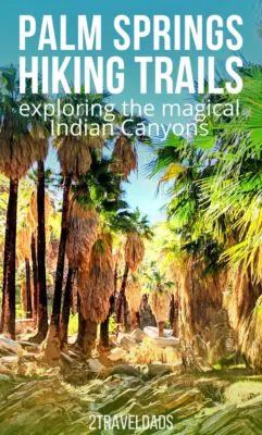 The best hiking in Palm Springs includes palm forests, waterfalls, oasis and desert. Hiking trails and tips for exploring beyond the city of Palm Springs, California. #hiking #California #PalmSprings