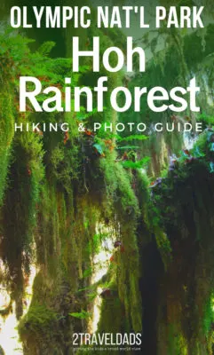 Everything you need to know about exploring the Hoh Rainforest in Olympic National Park. Trail recommendations, wildlife to watch for, and photography tips. #NationalPark #Washington