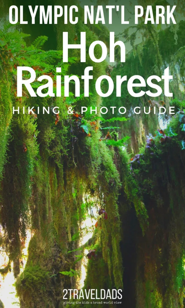 Temperate Rain Forest - Olympic National Park (U.S. National Park Service)