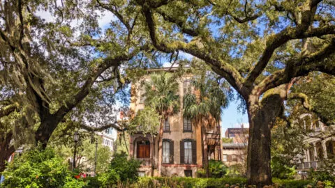 Best Historic Sites in Savannah: Beautiful Architecture and Endless Stories