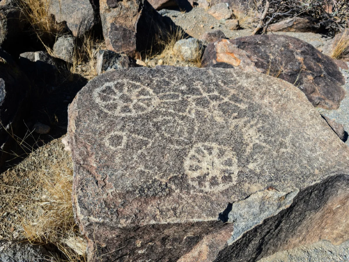 Hohokam Petroglyphs at Tucson Mountain District in Saguaro National Park Tucson Arizona 1