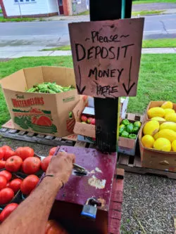 Honor deposit farm stand outside Rochester New York 1