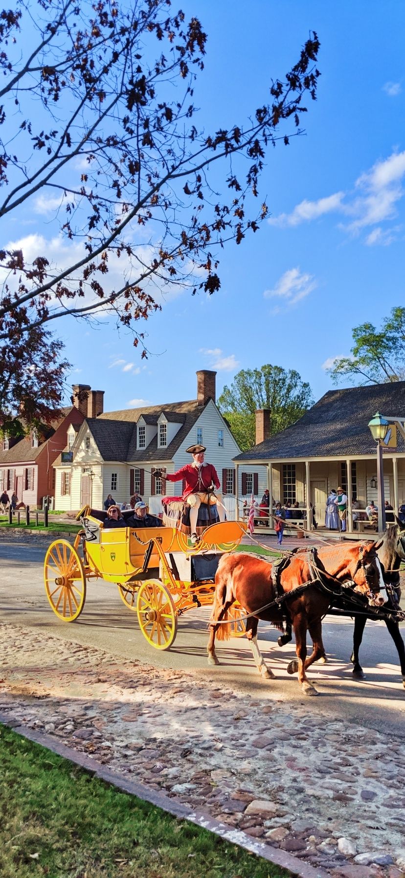Horse Drawn Carriage in Colonial Williamsburg Historic Virginia