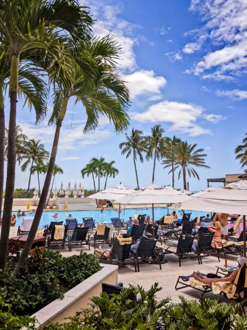 Hotel Pool at Hilton Marco Island on the Beach Gulf Coast Florida 1