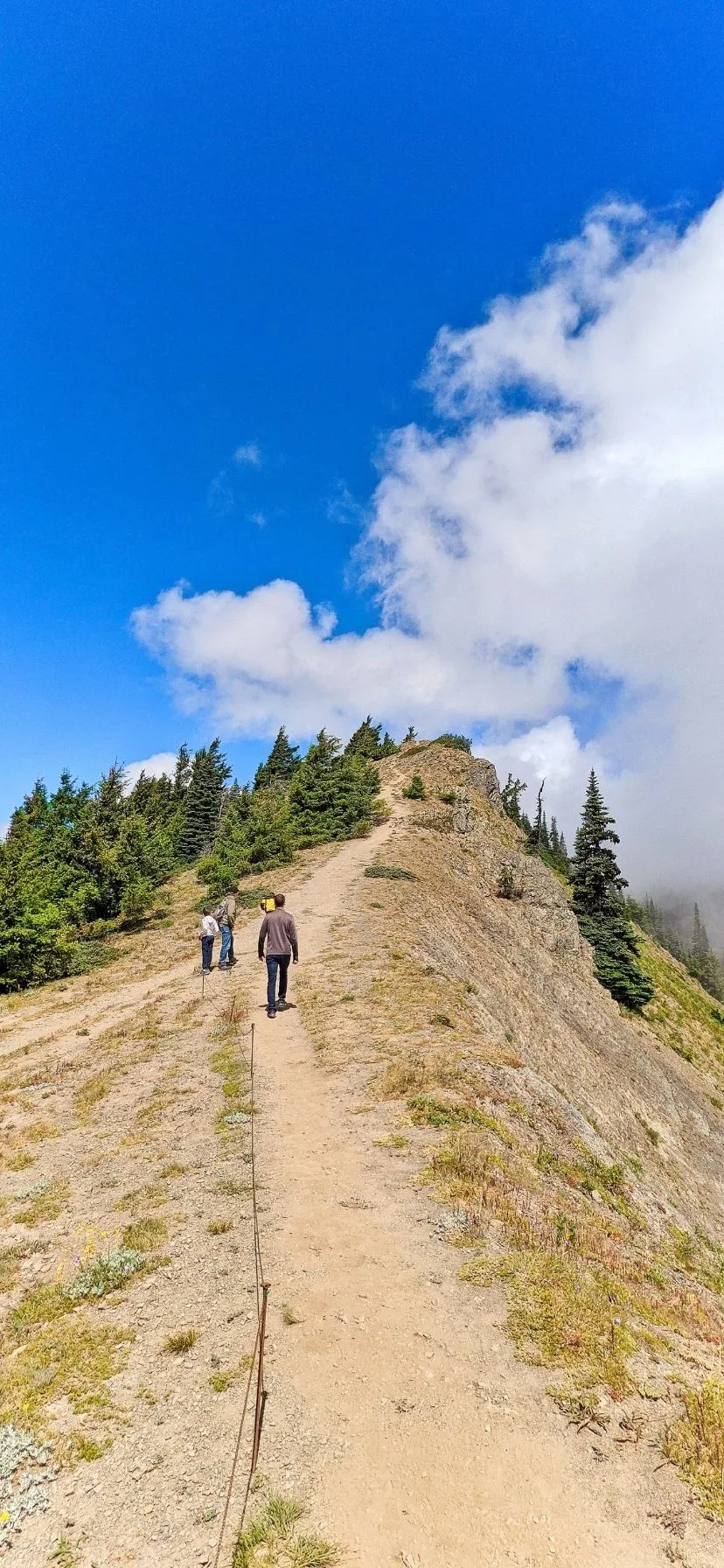 Hurricane Hill Hike Hurricane Ridge Olympic National Park