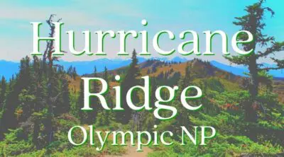 Hiking Hurricane Ridge: one of the best day trips to the Olympic Peninsula. Trails rated from easiest to most difficult, awesome Olympic NP views and nature. Tips for visiting Hurricane Ridge any time of year.