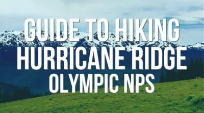 Hiking Hurricane Ridge: one of the best day trips to the Olympic Peninsula. Trails rated from easiest to most difficult, awesome Olympic NP views and nature. Tips for visiting Hurricane Ridge any time of year.