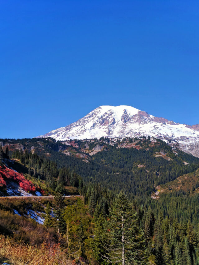 Mount Rainier from Stevens Canyon