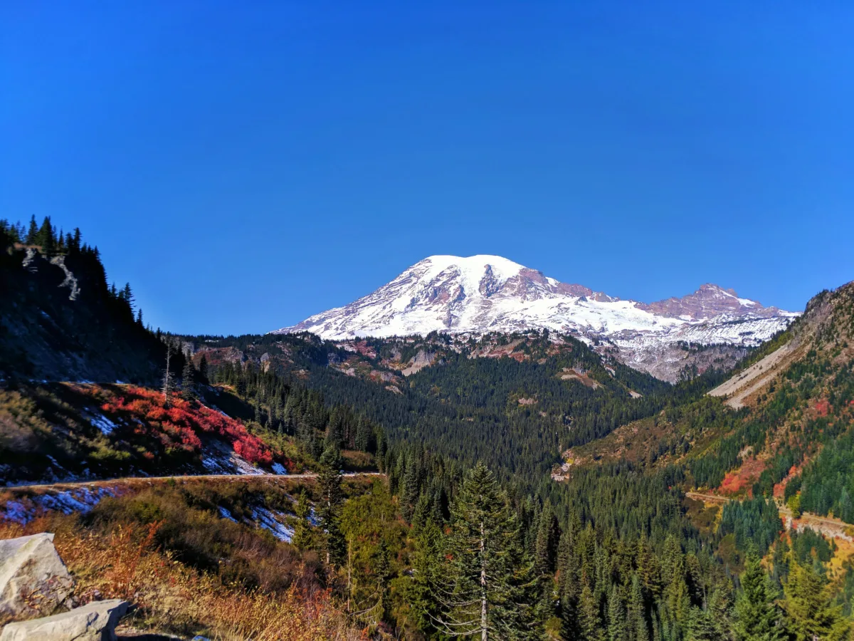 Mount Rainier from Stevens Canyon