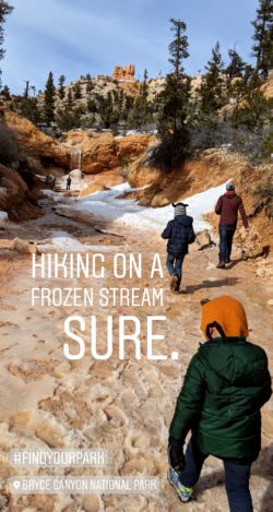 Taylor Family Bryce Canyon National Park Instagram Story