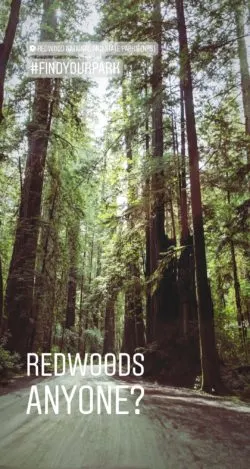 Jeddadiah Smith Redwoods National Park IG story