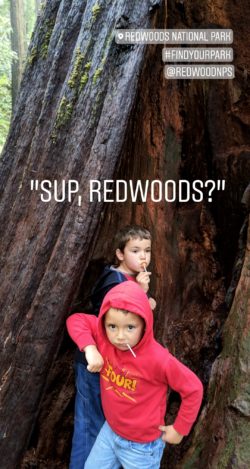 Jeddadiah Smith Redwoods National Park IG story