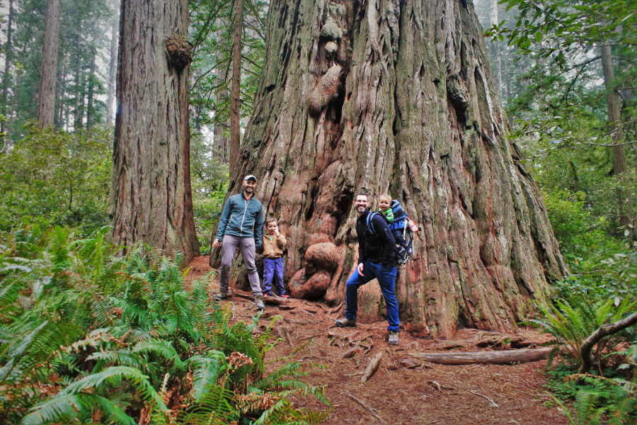 Taylor Family at Redwoods National Park California