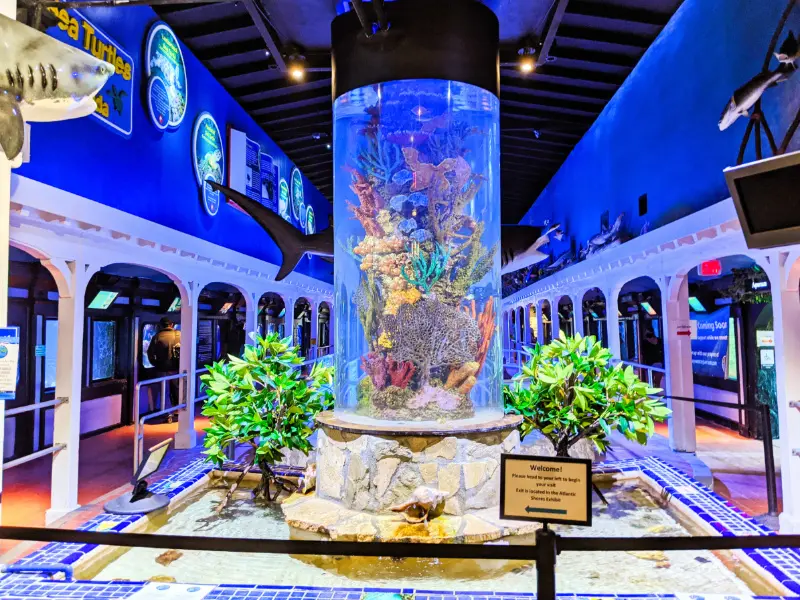 Inside Key West Aquarium Florida Keys 2020 1