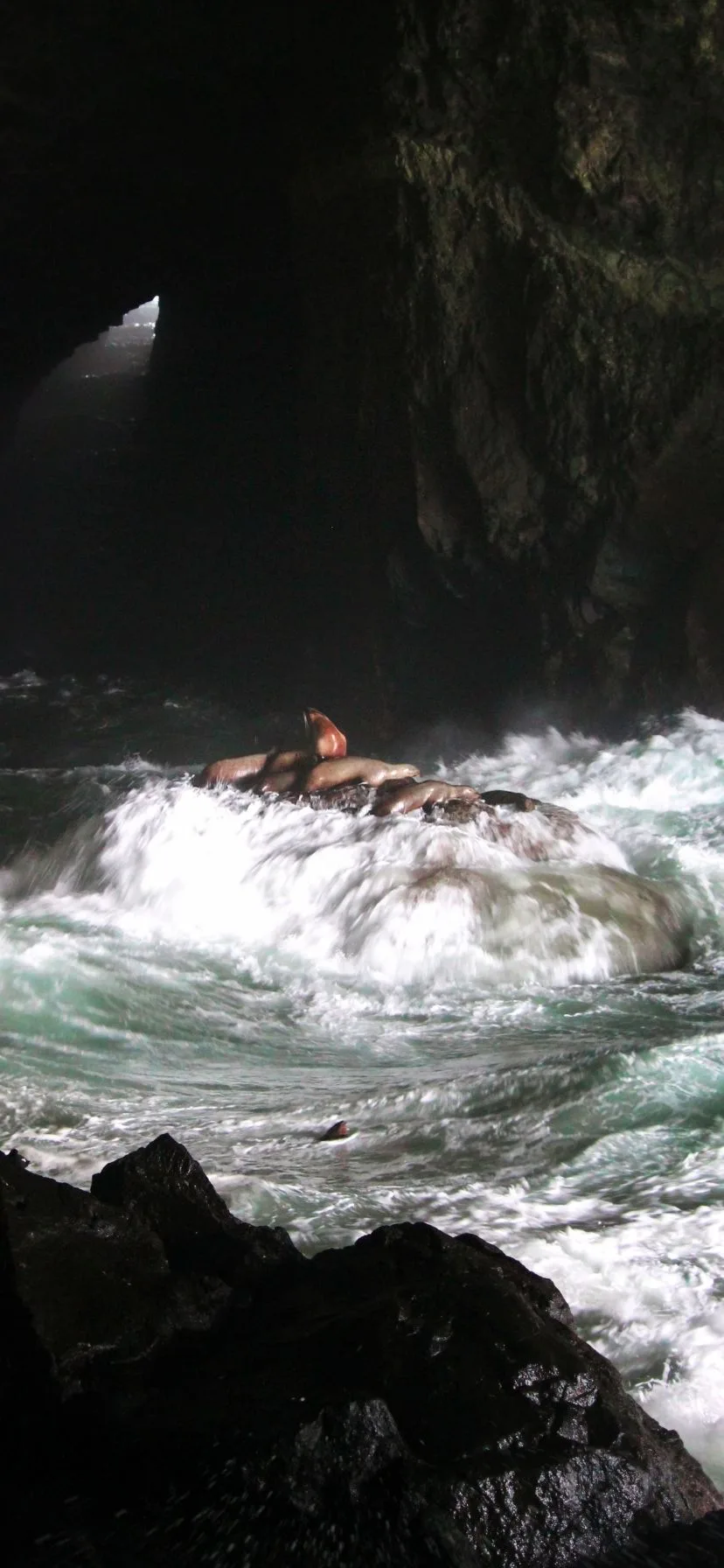 Inside Sea Lion Caves Florence Oregon Coast Road Trip