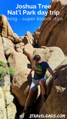 A Joshua Tree day trip is a fun, unique Southern California adventure. From hikes and bouldering to exploring oases, there's something for everyone. Bonus: super bloom info!