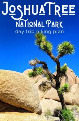 A Joshua Tree day trip is a fun, unique Southern California adventure. From hikes and bouldering to exploring oases, there's something for everyone. Bonus: super bloom info!