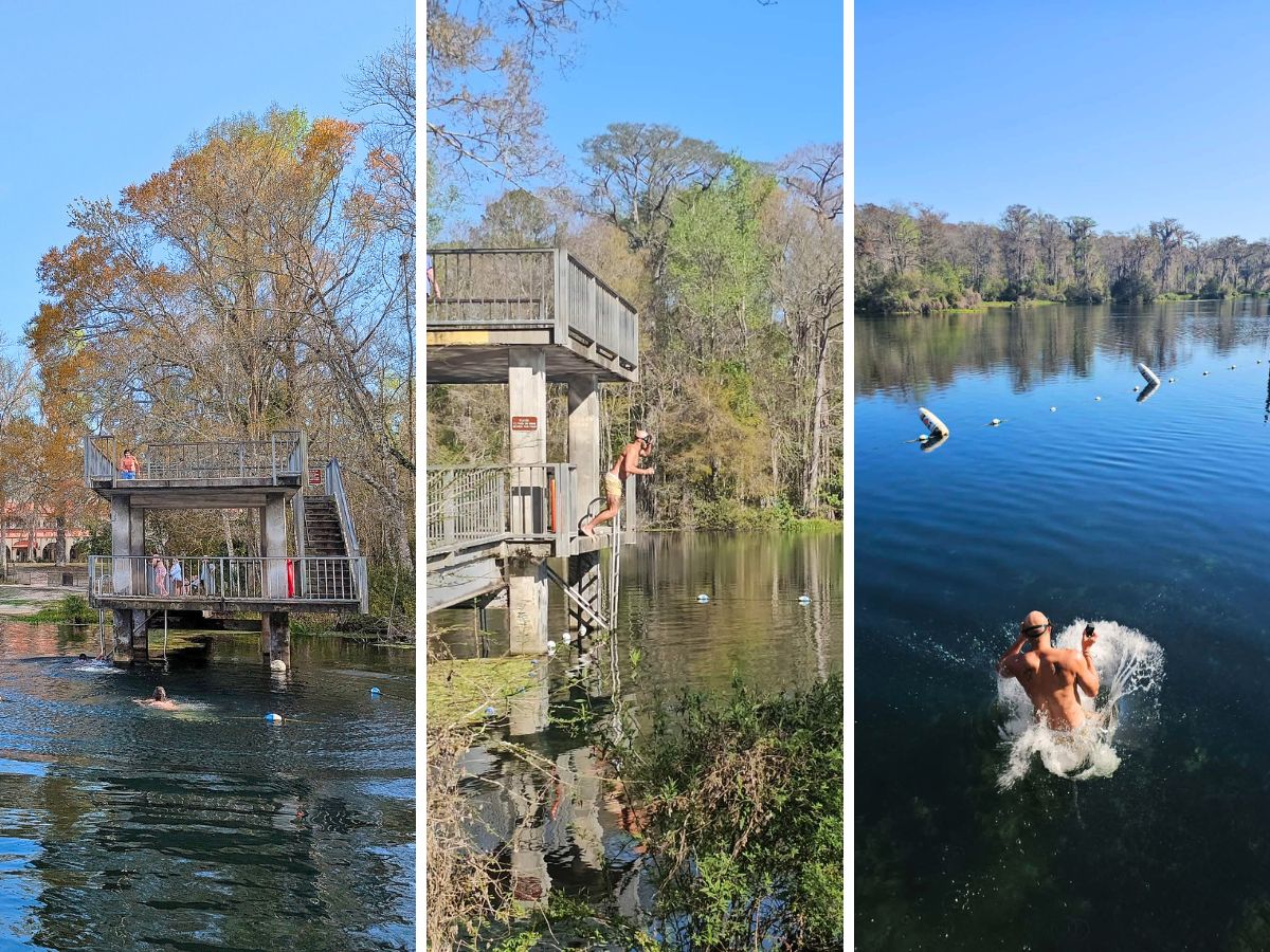 Jumping In for Swimming at Wakulla Springs State Park