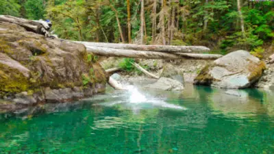 Jumping into Skokomish River at Staircase Rapids Olympic National Park 1