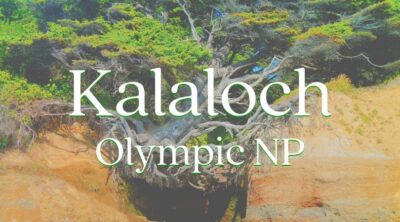 Kalaloch at Olympic National Park is one of the most unique and beautiful areas on the Washington coast. Long stretches of beach, epic old growth trees, and diverse camping experiences make it a great PNW getaway. #camping #olympicnp #washington