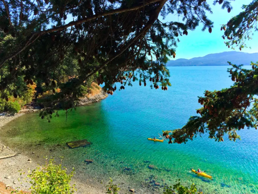 Kayakers on Ship Bay Orcas Island San Juan Islands Washington 2