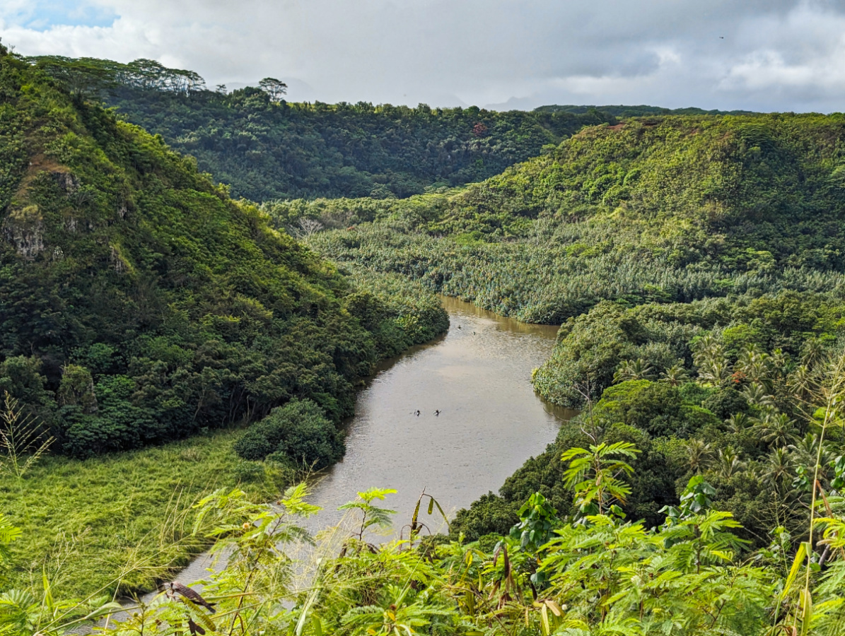 Kayakers on Wailua River Kapaa Kauai Hawaii 1