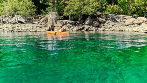 Best Kayaking Spots on the Olympic Peninsula of Washington State