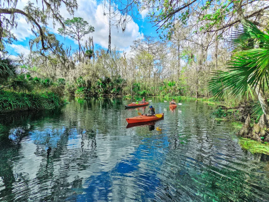 Kayaking on Silver River in Silver Springs State Park Ocala Florida 19