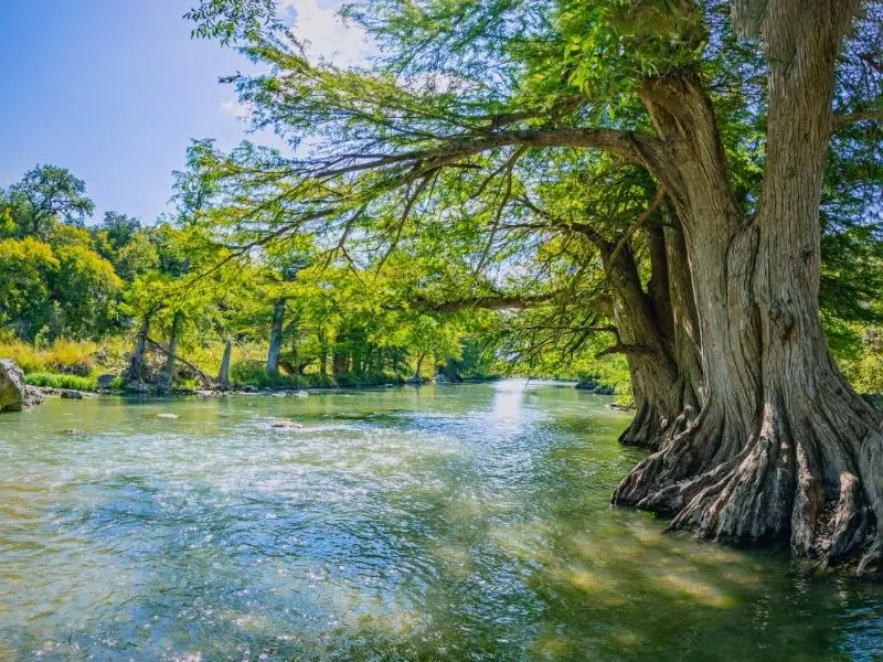 Kayaking-on-the-Guadalupe-River-in-Texas