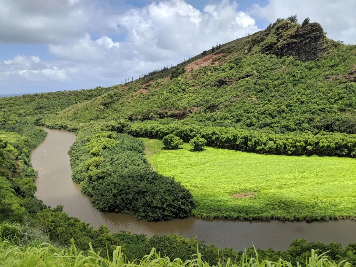 Kayaking on the Wailua River Kauai