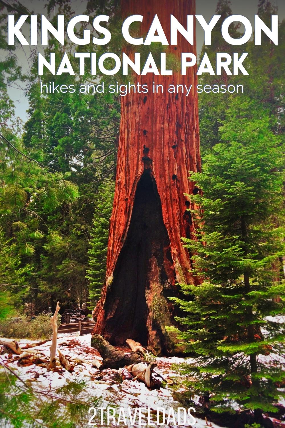 Kings Canyon National Park is beautiful and full of epic trees and view. Visiting Kings Canyon in any season is fun and interesting, but beware of snowy days. Tips and tricks for hiking at Kings Canyon and where to stay (National Park lodge!).