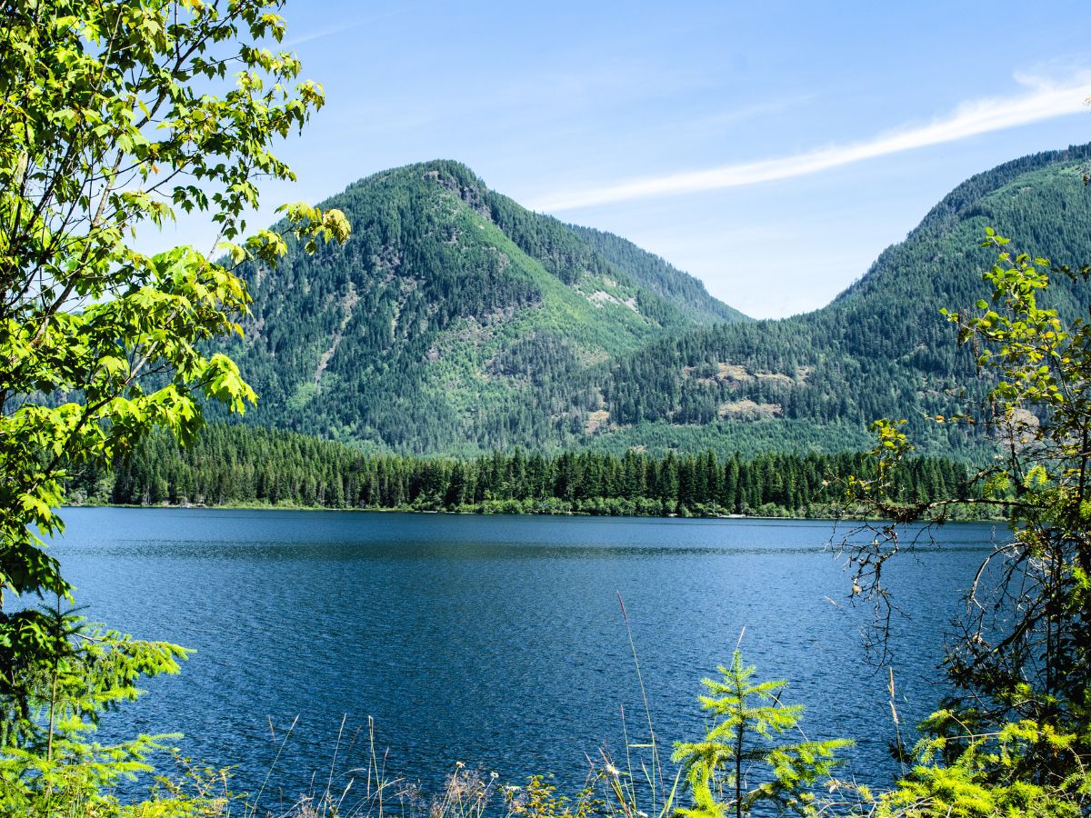 Lake Cowichan Provincial Park Vancouver Island British Columbia