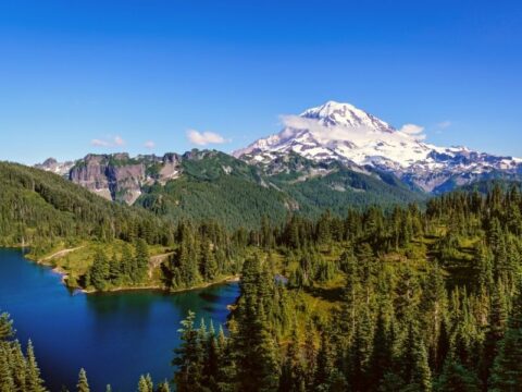 Washington   Oregon Road Trip: West Coast Itinerary From Seattle 