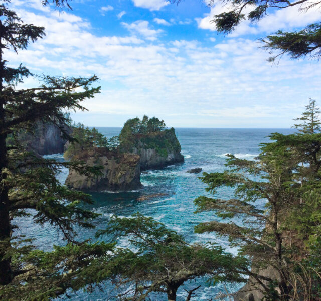 Lands End Cape Flattery Olympic Peninsula 3b