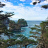 Lands End Cape Flattery Olympic Peninsula 3b