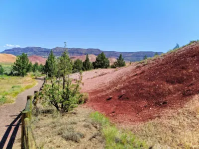 Leaf Fossil Trail Painted Hills John Day Fossile Beds NM Oregon 1b