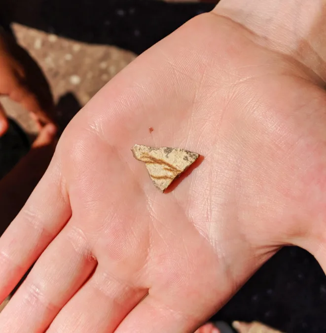 Leaf fossil on Rock at Leaf Hill Trail Painted Hills John Day Fossil Beds NM Oregon 1