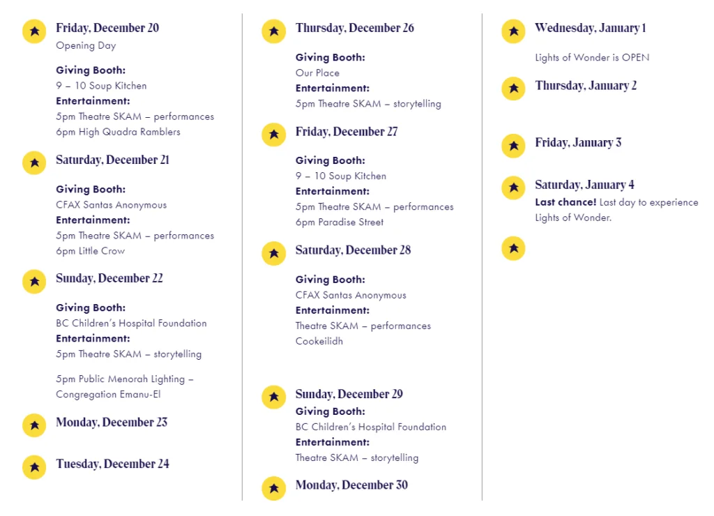 Lights of Wonder Giving Booth Schedule 2019 1