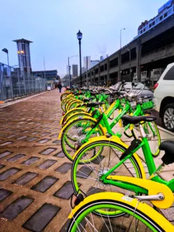 LimeBikes bike sharring in Seattle waterfront 1