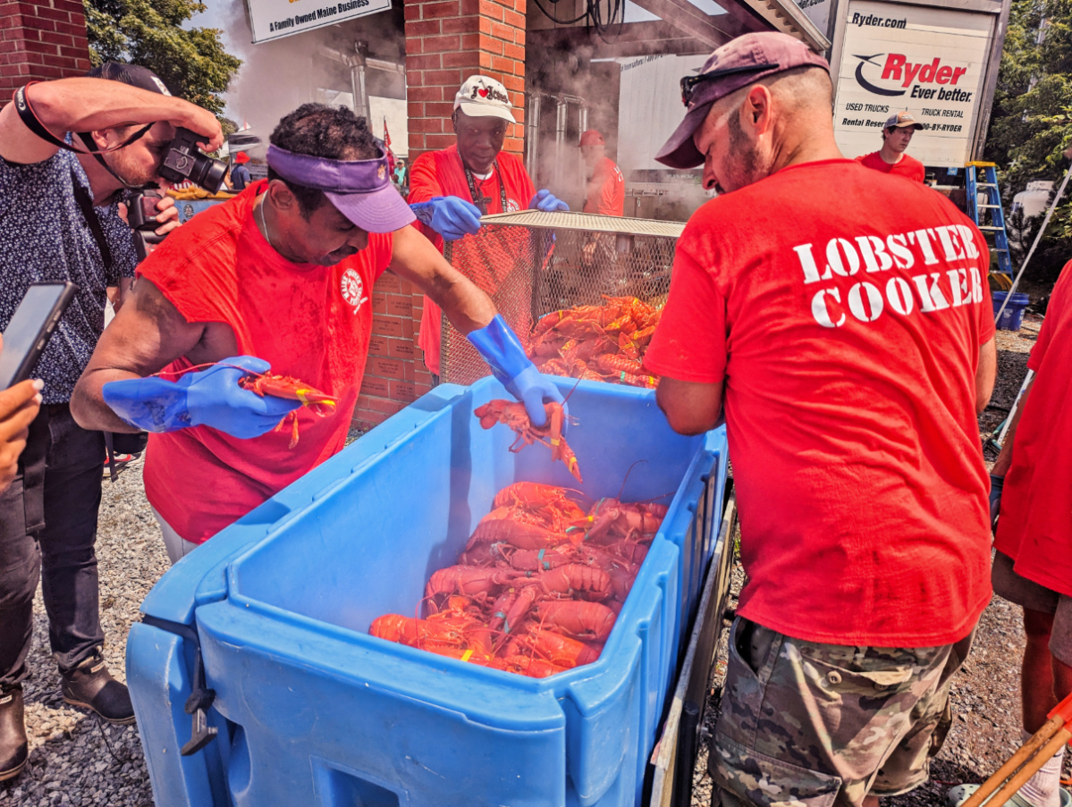 Lobster Cookers at Maine Lobsterfest in Rockland MidCoast Maine 1