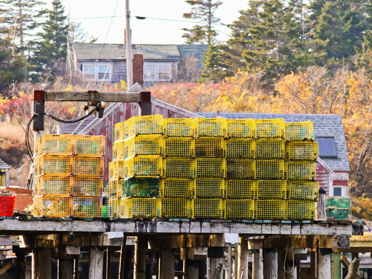 Lobster Pots on Matinicus Island from Maine State Ferry MidCoast Maine