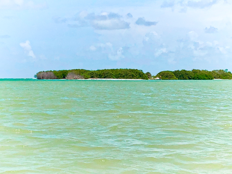 Looking at Shell Key during Clear Kayak Tour_Marcea Cazel