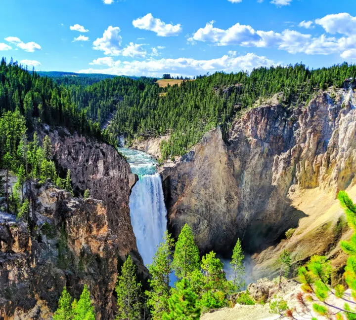 Lower Yellowstone Falls Grand Canyon of Yellowstone National Park 3