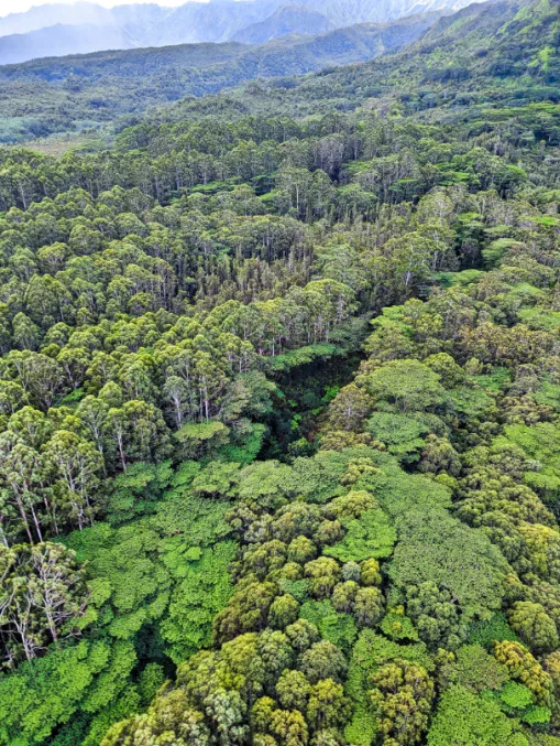 Lush Green East Shore Valley from Air Kauai Doors Off Helicopter Tour Kauai Hawaii 1