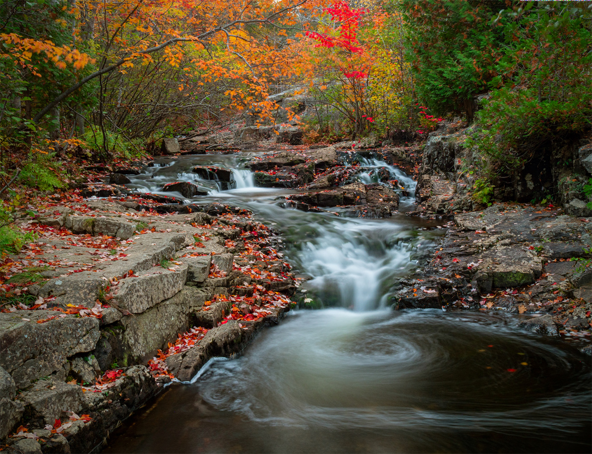 Duck Brook surrounded by fall foliage in Acadia National Park, ME