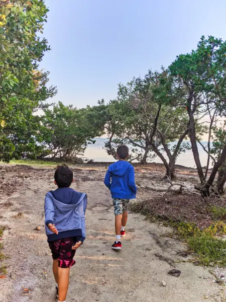 Mangrove Trail at Ocean Pointe Suites Key Largo Florida Keys 2020 1